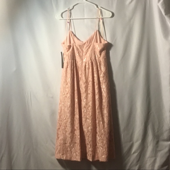 CeCe by Cynthia Steffe lace midi dress, rose, sz6 - Picture 4 of 8